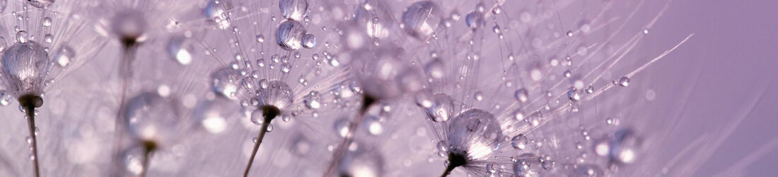 Yvonne Maurer, Psychotherapeutische Praxis