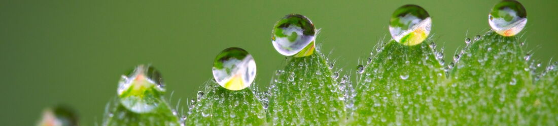 Yvonne Maurer, Psychotherapeutische Praxis